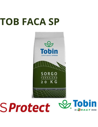 Producto TOB Faca SP Imagen 1