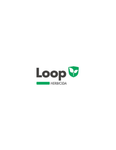 Producto Loop Imagen 1