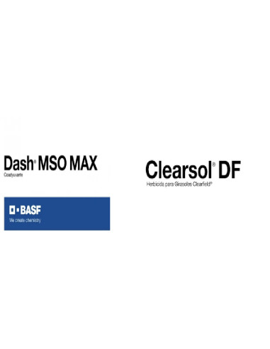 Pack Clearsol + Dash MSO Max