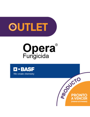 Opera - Outlet -