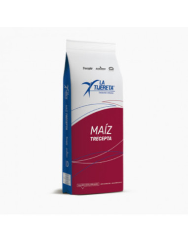 Producto Maiz LT 302 - Banda 3 - TRE Imagen 2