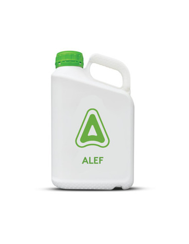 Producto Alef Imagen 1