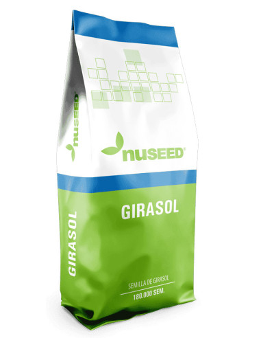 Producto Girasol Nusol 4145- Banda 2 - CL Imagen 1