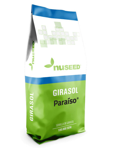 Producto Girasol Paraiso 1800- Banda 1 - CLPLUS Imagen 1