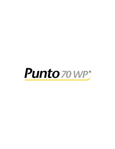 Producto Punto 70 Wp Imagen 1