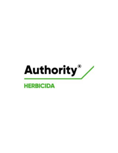 Producto Authority Imagen 1