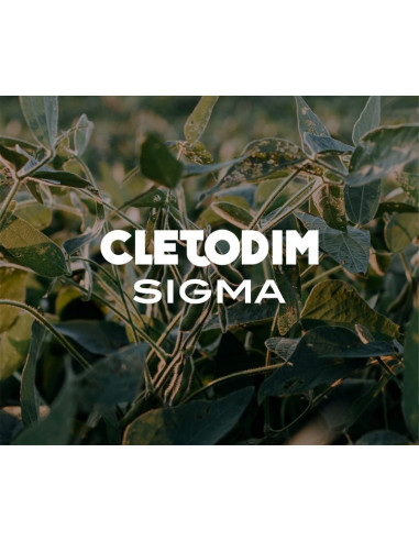 Producto Cletodim Sigma Imagen 1