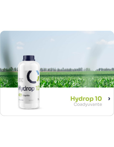 Producto Hydrop 10 Imagen 1