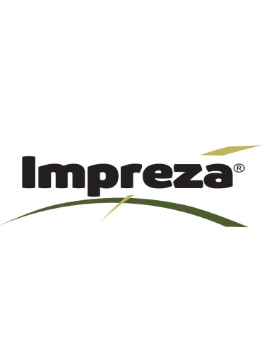 Producto Impreza Imagen 1