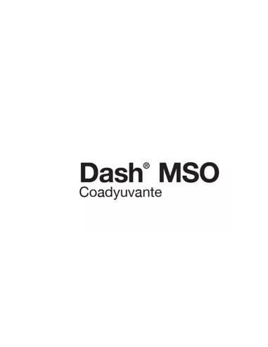 Producto Dash Mso Max Imagen 1