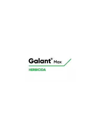 Producto Galant Max Imagen 1