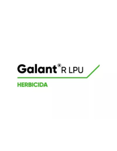 Producto Galant R Lpu Imagen 1