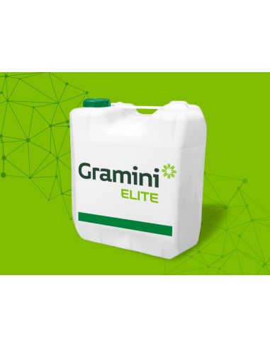 Producto Gramini Elite Imagen 1