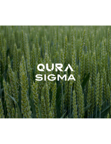 Producto Qura VT Sigma Imagen 1