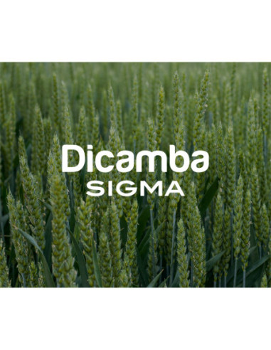 Producto Dicamba Sigma Imagen 1