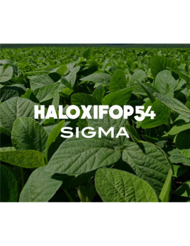 Producto Haloxifop 54 Sigma Imagen 1