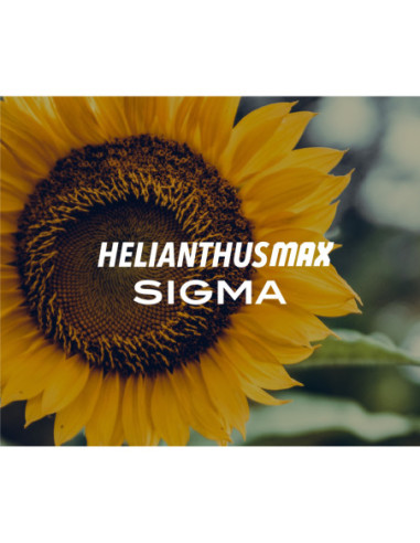 Producto Helianthus Max Sigma Imagen 1