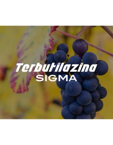 Producto Terbutilazina Sigma Imagen 1