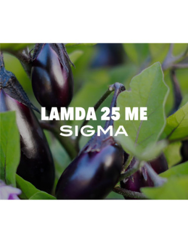 Producto Lambda 25 ME Sigma Imagen 1