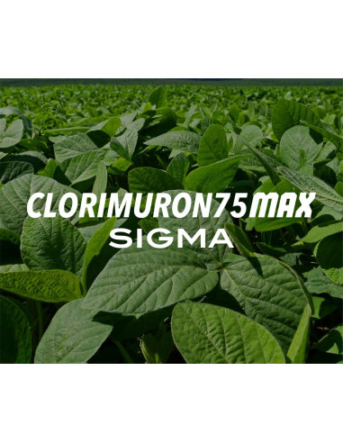 Producto Clorimuron 75 Max Imagen 1