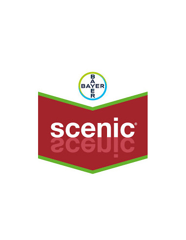 Producto Scenic Imagen 1