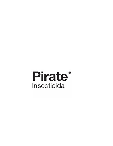 Producto Pirate Imagen 2