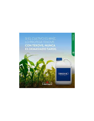 Producto Tekove Imagen 1