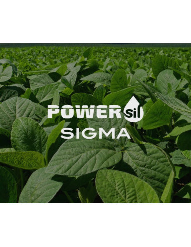 Producto Powersil Sigma Imagen 1