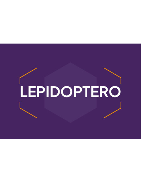 Lepidoptero