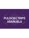 Pulgon/Trips/Arañuela