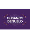 Gusanos de Suelo